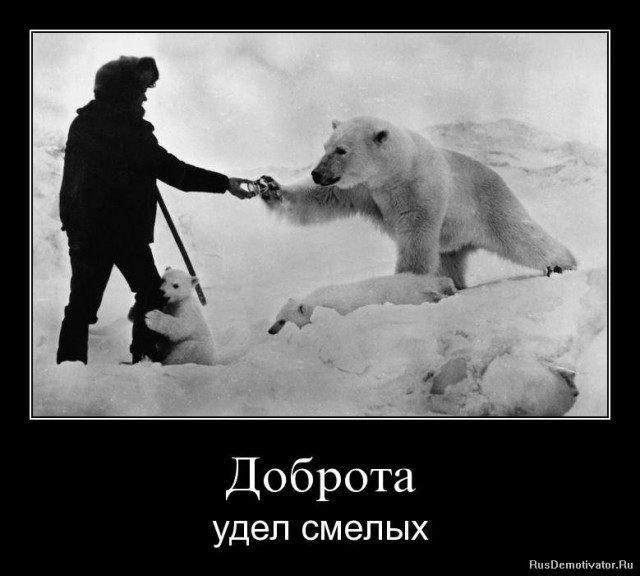 Добрые фотографии 2015
