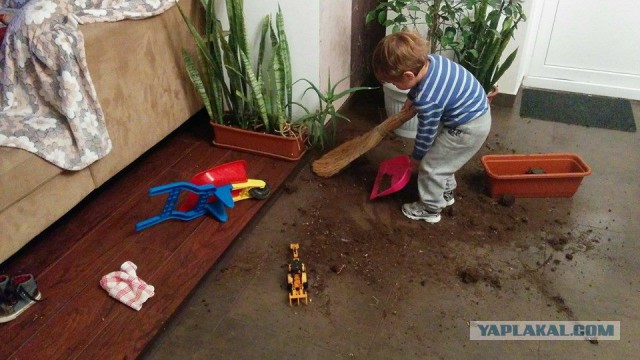 Мама молодец, но с папой веселее!