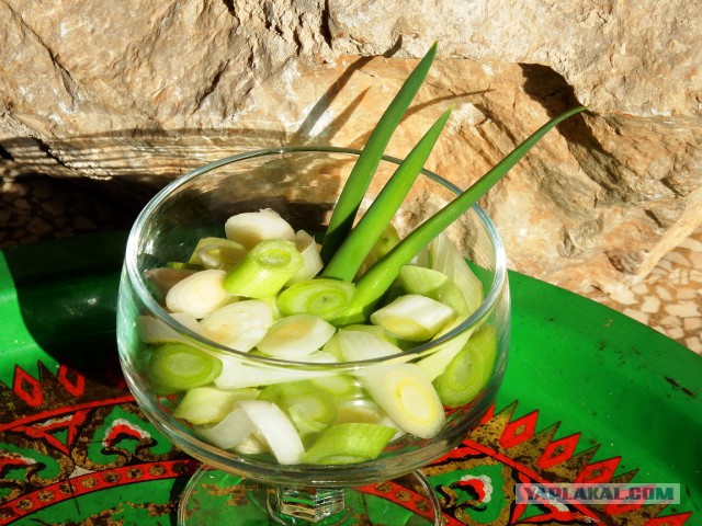 Паста с водкой (опять итальянская вечнозеленая кухня)
