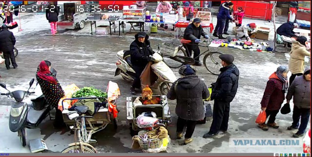 За что я люблю китайцев