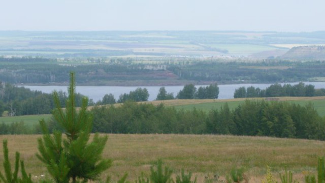 Я узнал, что у меня есть огромная семья