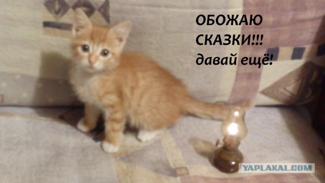 Когда твое хобби реально пригодилось!