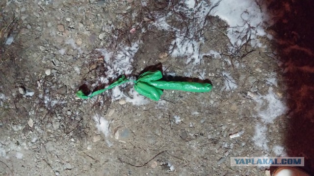 35 фото из серии "Показалось"