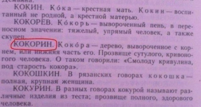 Футболисты сборной России отдыхают в Монте-Карло: Мамаев и Кокорин потратили на шампанское €250 тысяч