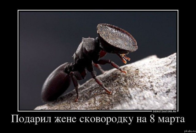 А какие самые обидные подарки дарили вам?