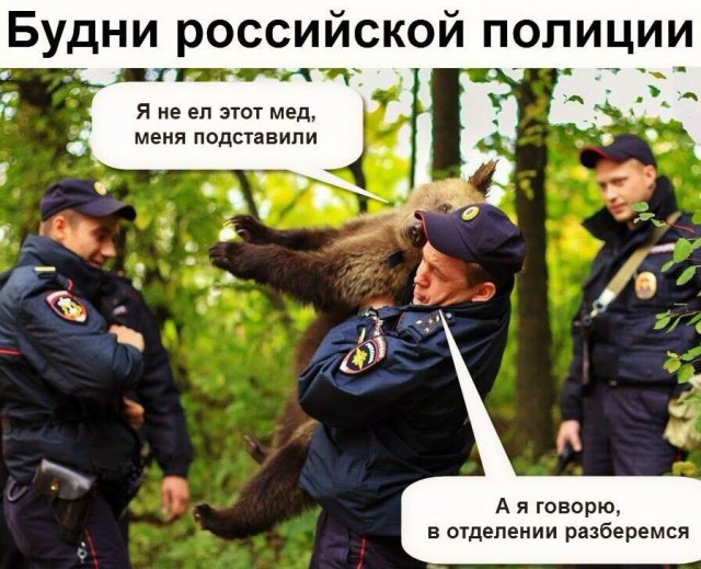 Подборка прикольных картинок на пятницу