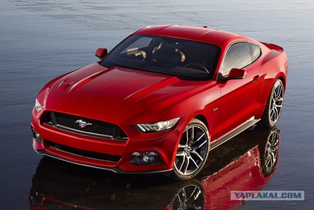 Ford Mustang. Просто фото.