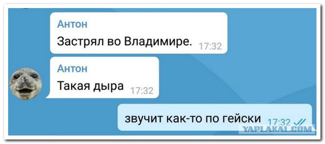 Забавные комментарии, шутки и фразы из этих ваших интернетов