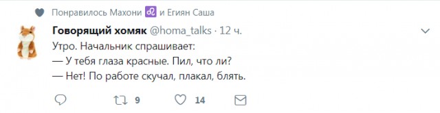 Смешные комментарии из социальных сетей 20.10.2017