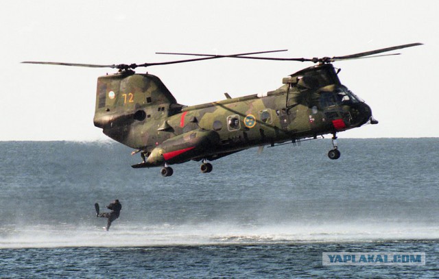 Шведская армия времен холодной войны