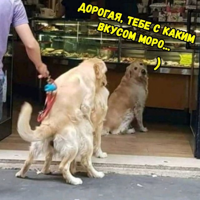 Прикольные картинки обо всем
