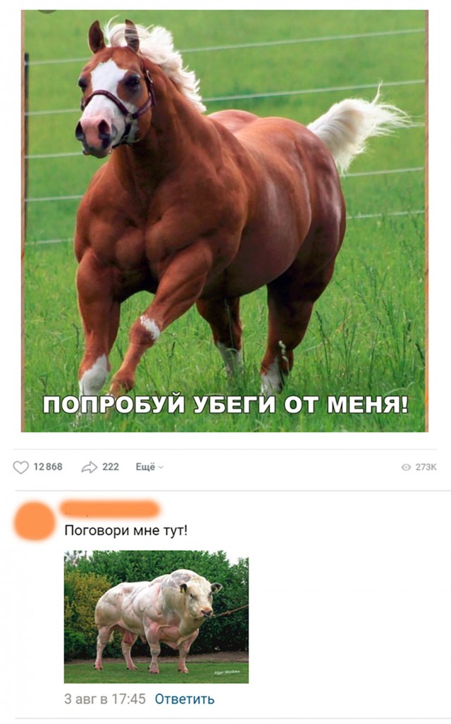 Нестандартный юмор