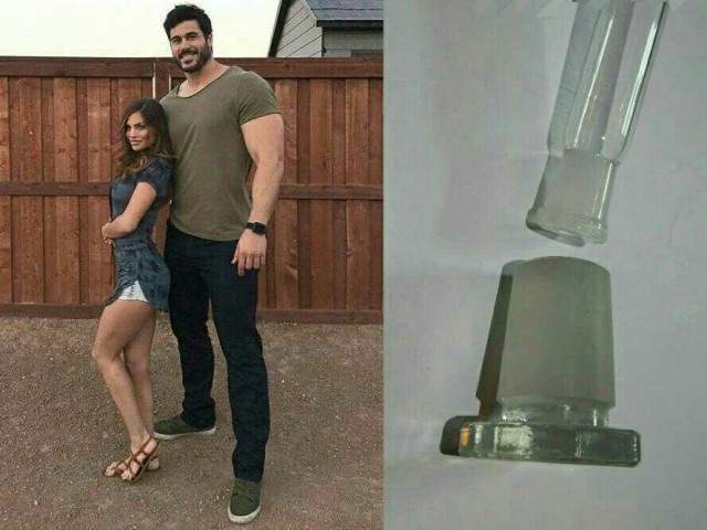 Лента прикольных картинок