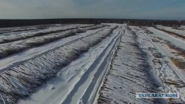 Ответ Навального генералу Золотову