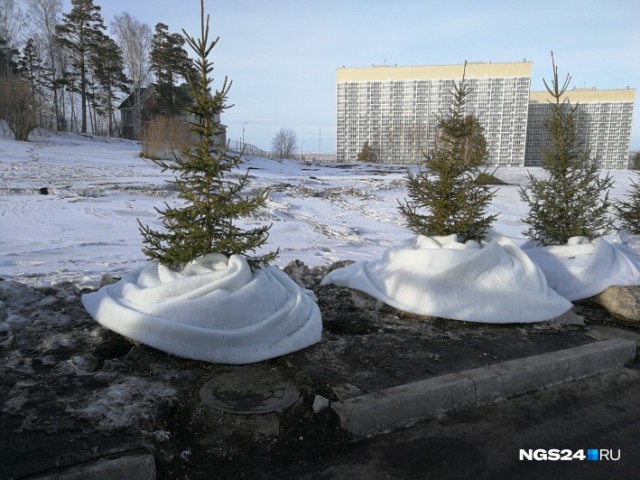 В Красноярске грязный снег закрывают синтепоном к Универсиаде 2019.