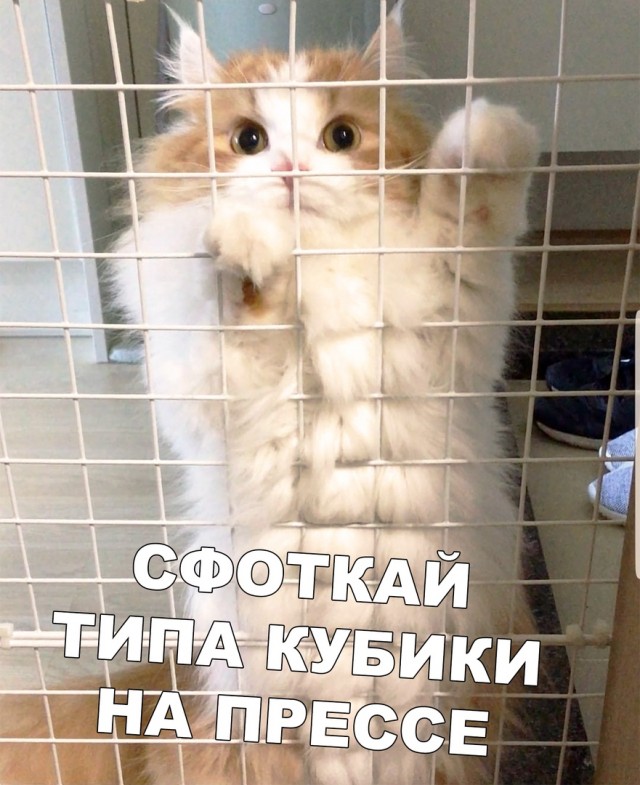 Журнал с картинками