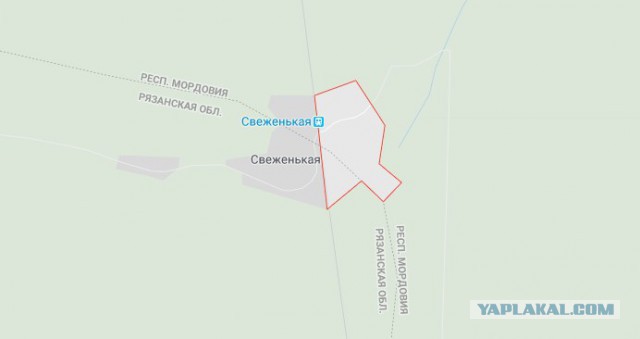 А почему все русские - мордва?