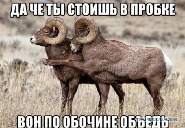 Не очень адекватный юмор