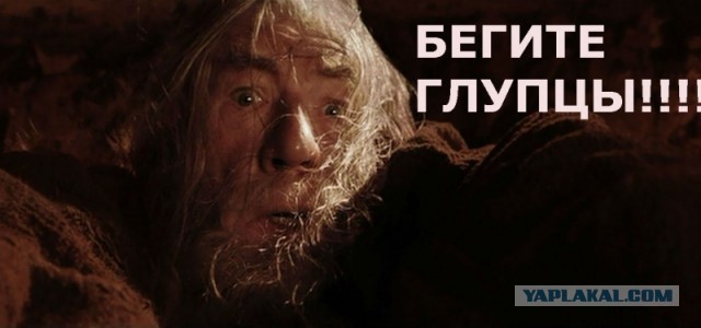 Первая семья буров из ЮАР прибыла в Бурятию