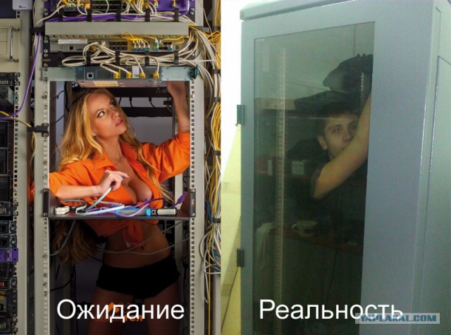 IT-красотки из новогоднего календаря
