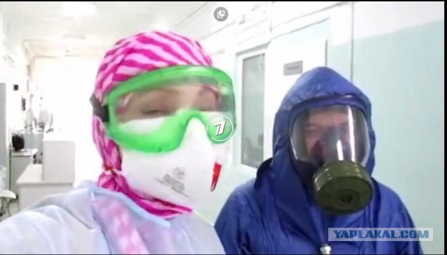 Ненависть нации: жители регионов требуют от коронавирусных москвичей убираться домой