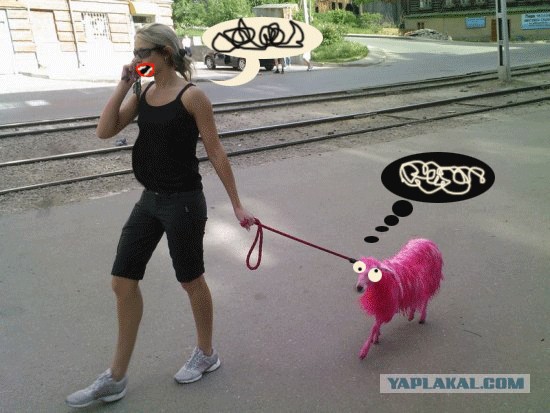 Перис Хилтон из Фрязино