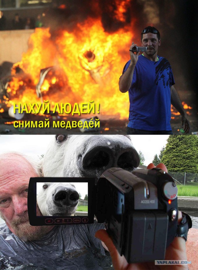 Фотожаба: Что же его так заинтересовало?