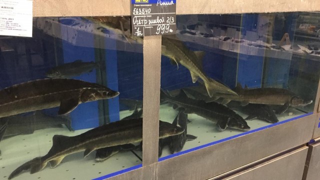 Морепродукты к НГ на Камчатке на 5 тыщ