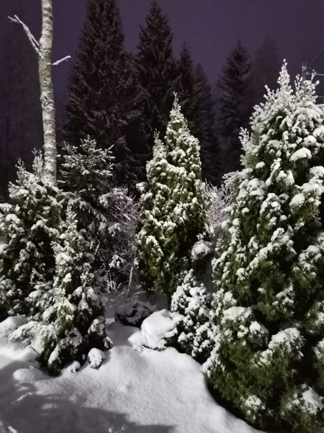 Двойные стандарты