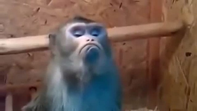 Володин обиделася!