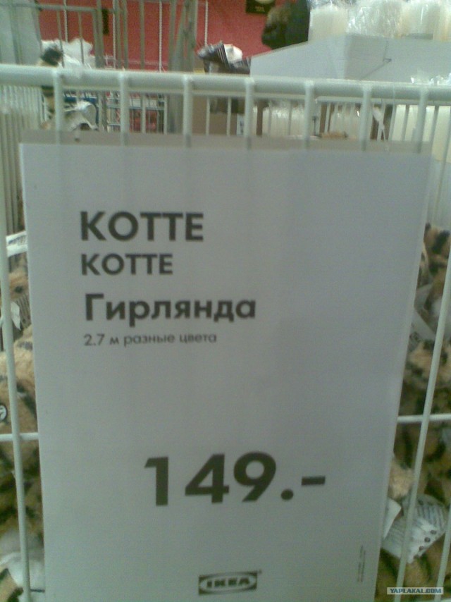 Новокотняя песня