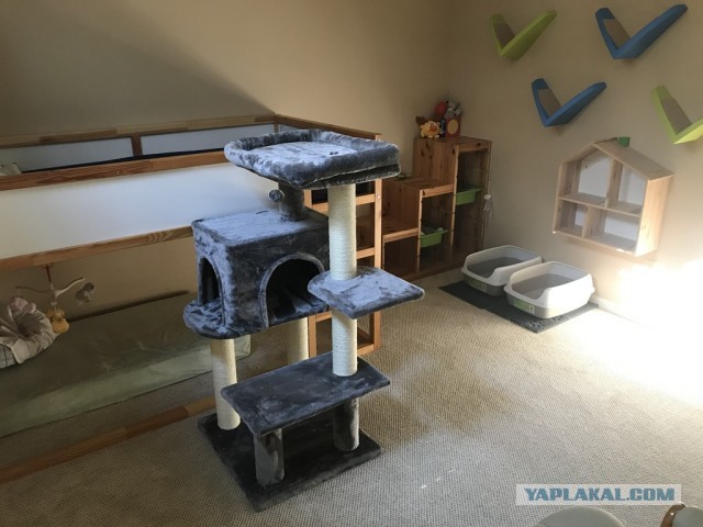 Домик для котейки
