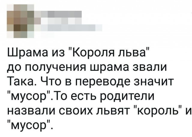 Так себе картинки 13.04.21