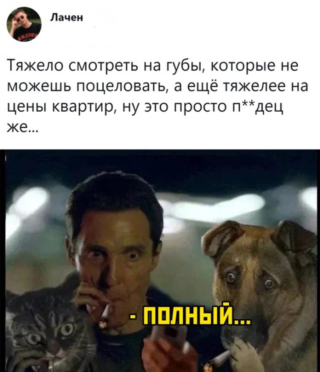Весёлый полтишок 5.08.21