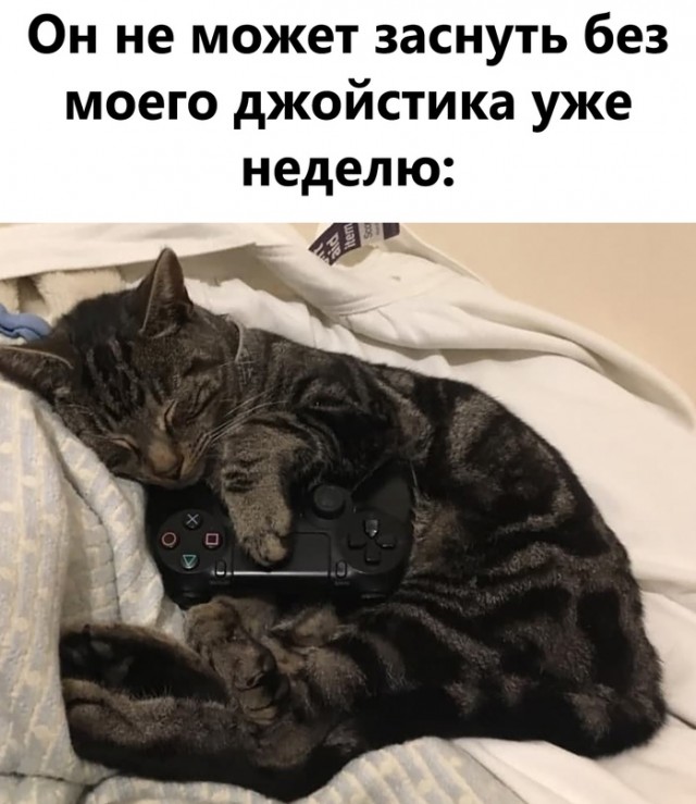 Картинки и мемы для настроения