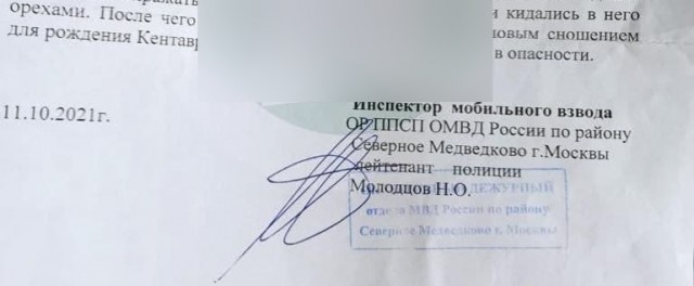 Когда искал белочку, но белочка нашла тебя сама