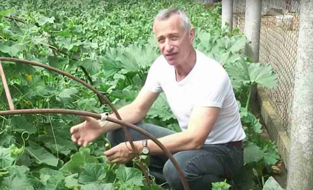 Дожили, аграрная же страна