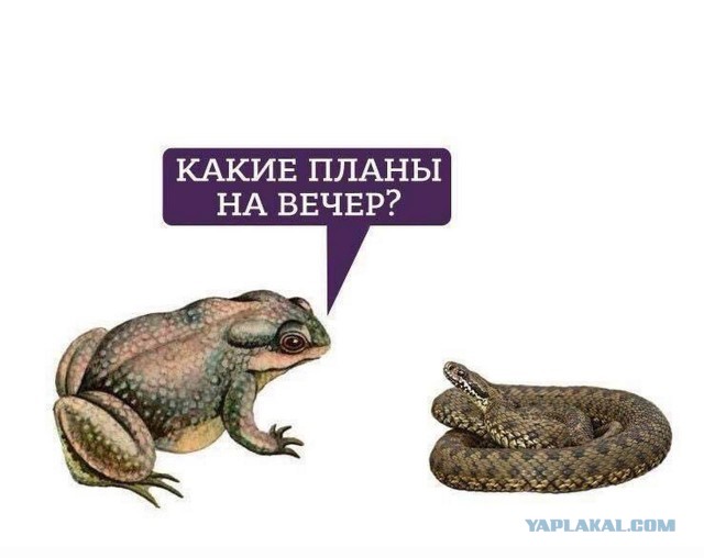 Что меня раздражает в пропагандистских темах.