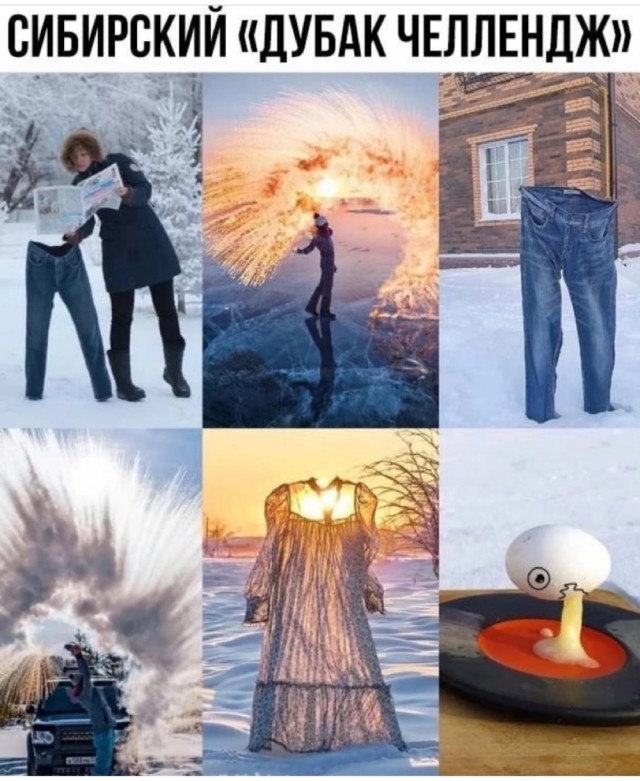 Всяческие картинки 24.12.2021