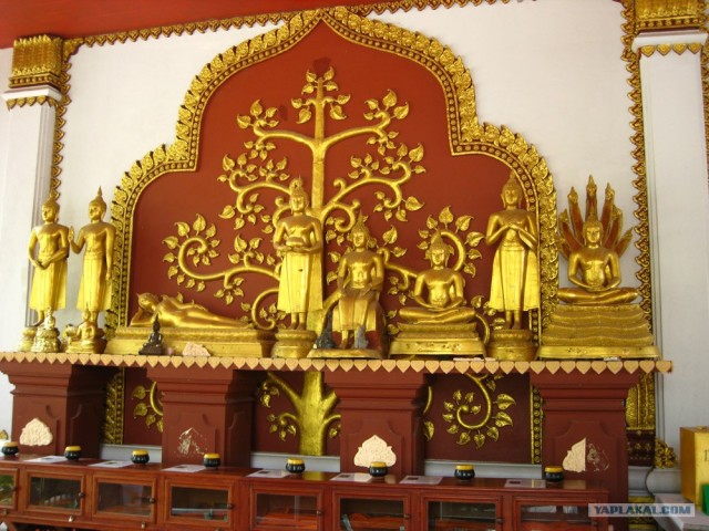 Такой разный остров Самуи