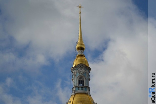 СПб глазами уставшего туриста...