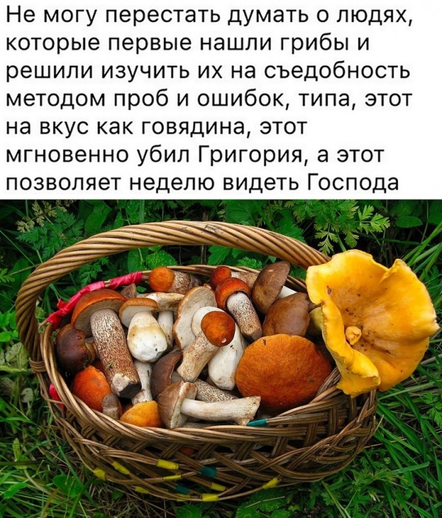 Так себе картинки 18.08.22