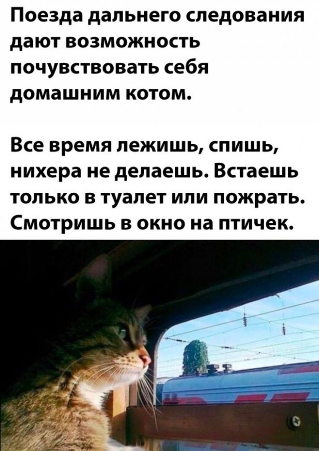Просто картинки 26.08.22
