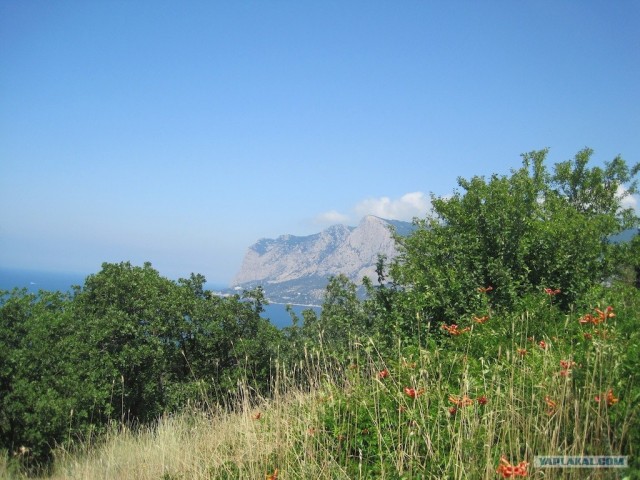 Южный берег Крыма