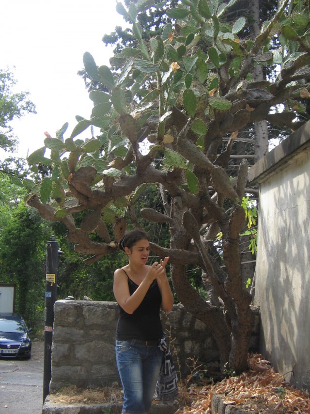 Отдых в Черногории (сентябрь 2012)