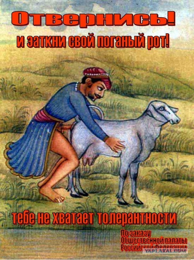 Добро пожаловать в Катар! (на чемпионат мира по футболу)
