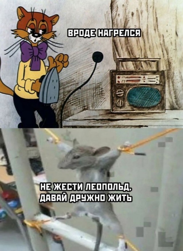 Картинки и мемы, всем хороших выходных