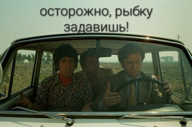 Покатушки