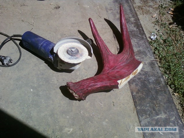 Вот такое хобби