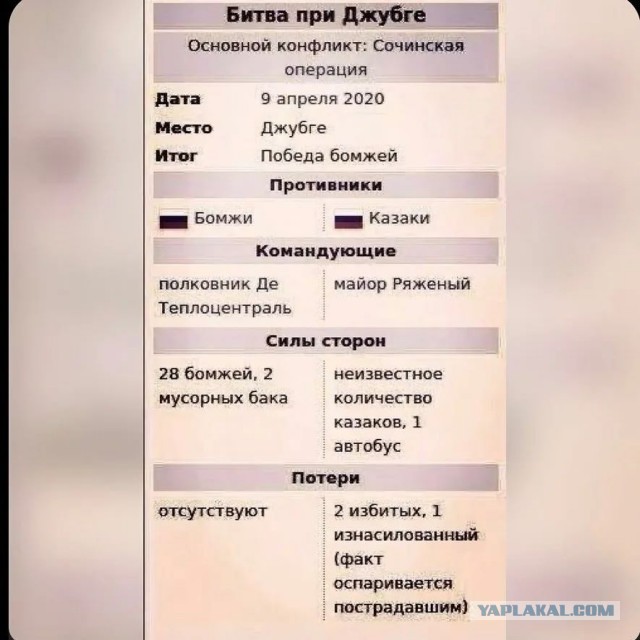 В Туле улицы города и фудкорты начали патрулировать казаки